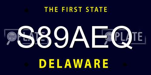 S89AEQ Delaware License Plate