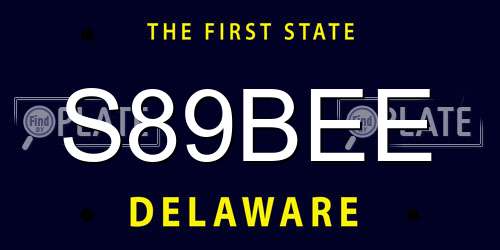 S89BEE Delaware License Plate