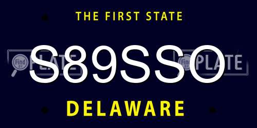 S89SSO Delaware License Plate