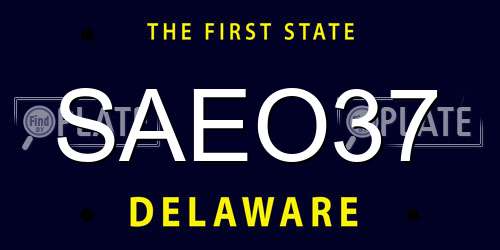 SAEO37 Delaware License Plate