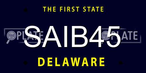 SAIB45 Delaware License Plate