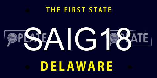 SAIG18 Delaware License Plate