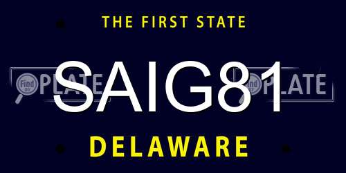 SAIG81 Delaware License Plate