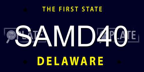 SAMD40 Delaware License Plate