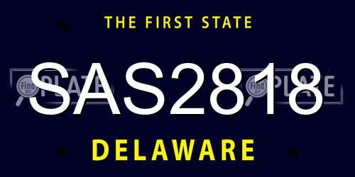 SAS2818 Delaware License Plate