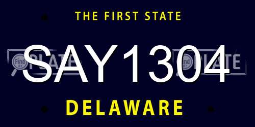 SAY1304 Delaware License Plate