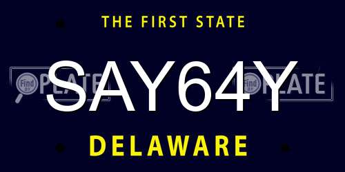SAY64Y Delaware License Plate