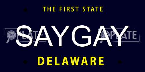 SAYGAY Delaware License Plate