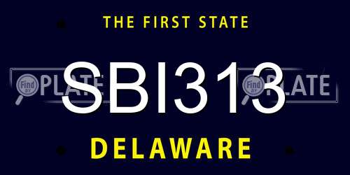 SBI313 Delaware License Plate