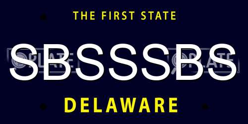 SBSSSBS Delaware License Plate