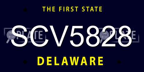 SCV5828 Delaware License Plate