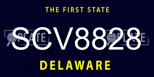 SCV8828 Delaware License Plate
