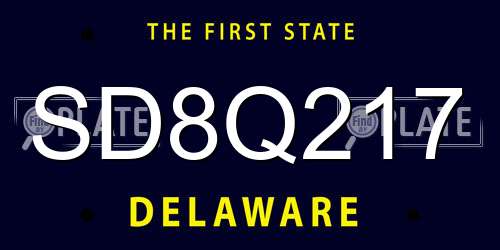 SD8Q217 Delaware License Plate