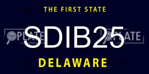 SDIB25 Delaware License Plate