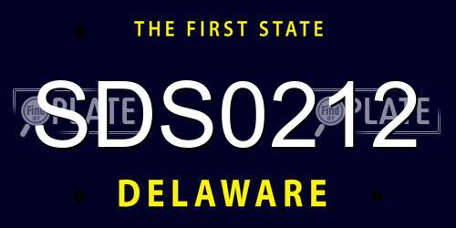 SDS0212 Delaware License Plate