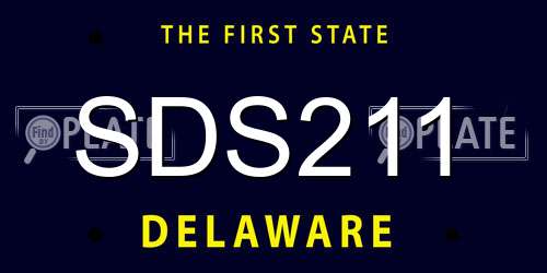 SDS211 Delaware License Plate
