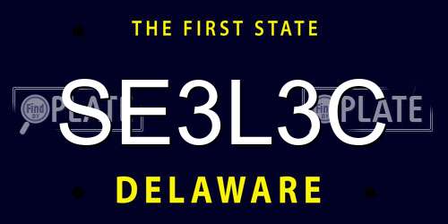 SE3L3C Delaware License Plate