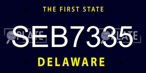 SEB7335 Delaware License Plate