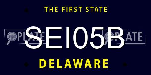 SEI05B Delaware License Plate
