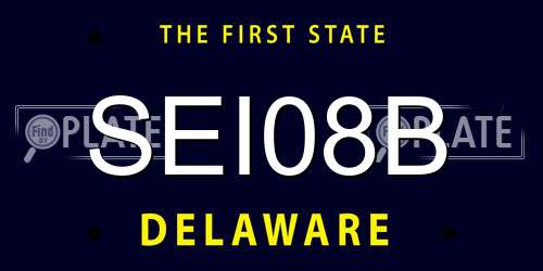 SEI08B Delaware License Plate