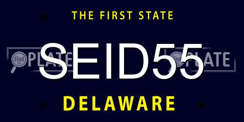 SEID55 Delaware License Plate