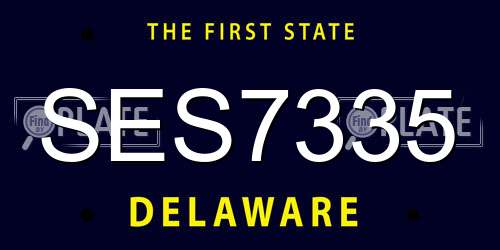 SES7335 Delaware License Plate