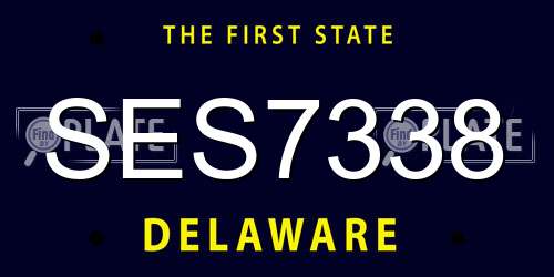SES7338 Delaware License Plate