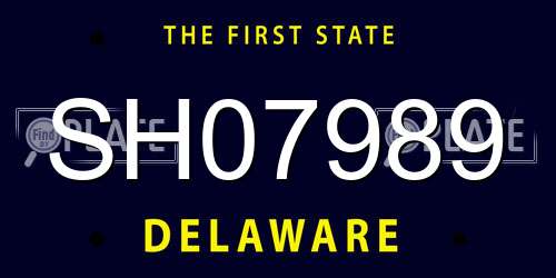 SH07989 Delaware License Plate