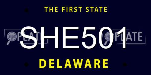 SHE501 Delaware License Plate