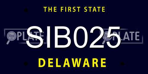 SIB025 Delaware License Plate