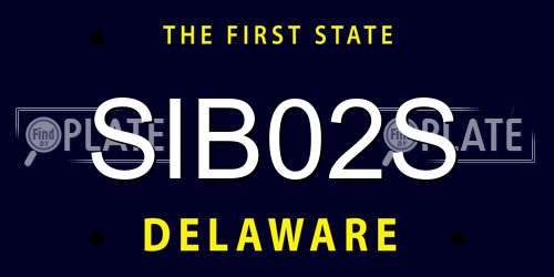 SIB02S Delaware License Plate