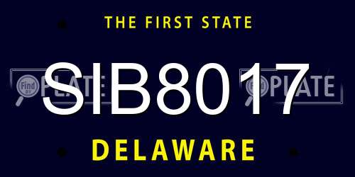 SIB8017 Delaware License Plate