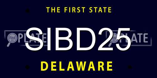 SIBD25 Delaware License Plate