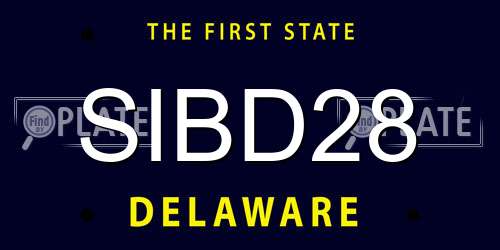 SIBD28 Delaware License Plate