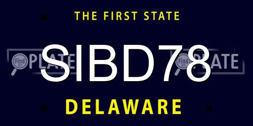 SIBD78 Delaware License Plate