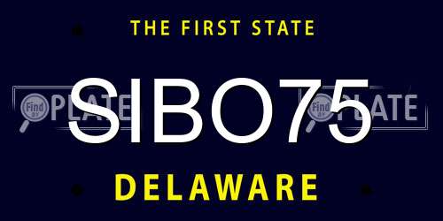 SIBO75 Delaware License Plate