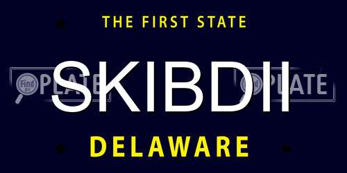 SKIBDII Delaware License Plate