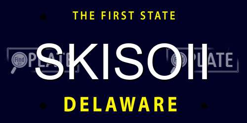 SKISOII Delaware License Plate