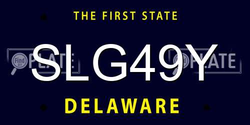 SLG49Y Delaware License Plate
