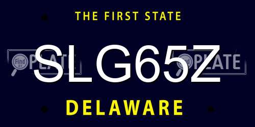 SLG65Z Delaware License Plate