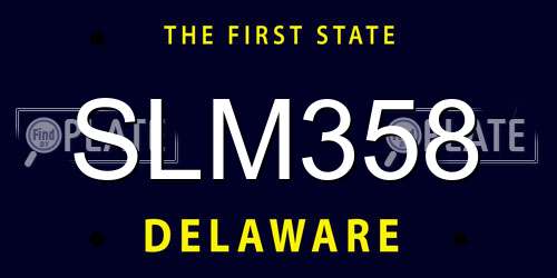 SLM358 Delaware License Plate