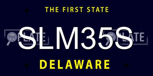 SLM35S Delaware License Plate