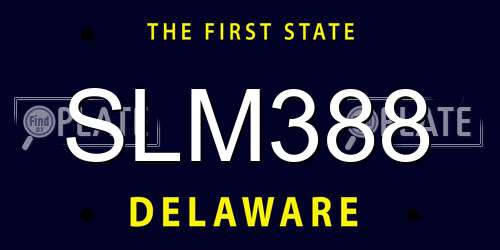 SLM388 Delaware License Plate
