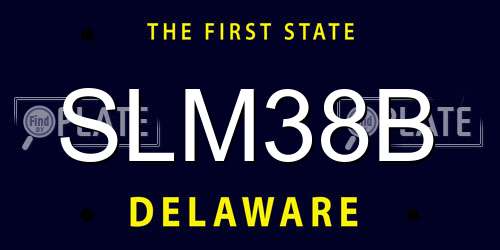 SLM38B Delaware License Plate