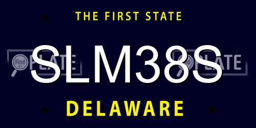 SLM38S Delaware License Plate