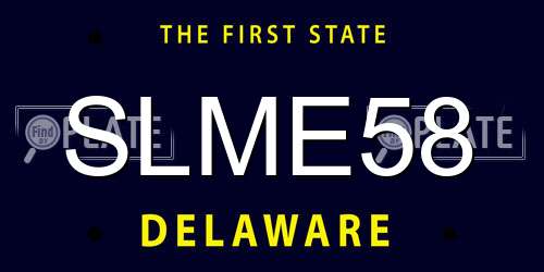 SLME58 Delaware License Plate