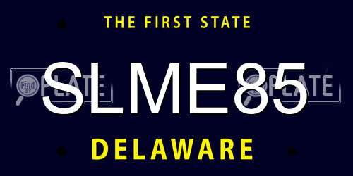 SLME85 Delaware License Plate