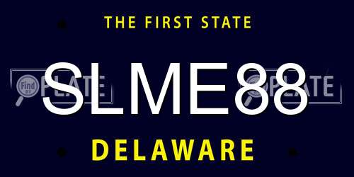 SLME88 Delaware License Plate