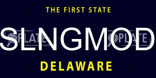 SLNGMOD Delaware License Plate