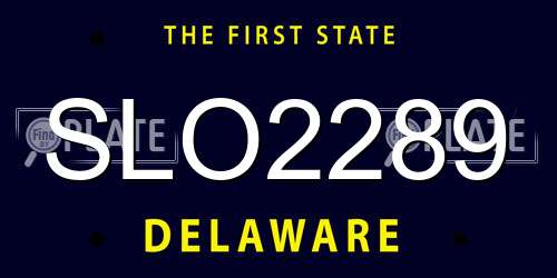 SLO2289 Delaware License Plate